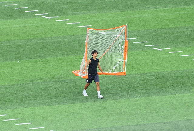 一个典型的 一个典型的