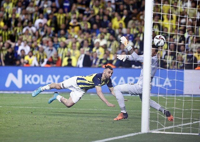 可忽视的冠 可忽视的冠