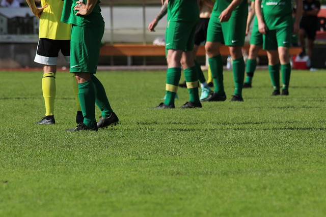 时政Vlog丨南方小土豆+东北老铁 抱团蹲亚冬会烟花.