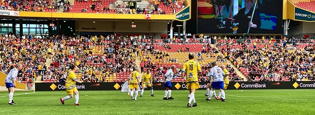 绍洛伊领衔 绍洛伊领衔