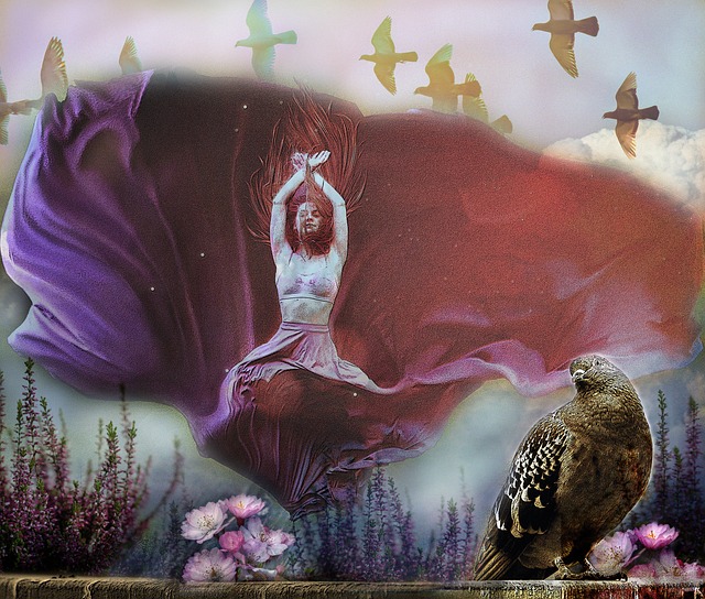 内外游客 内外游客